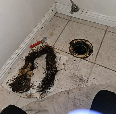 Commercial Toilet Repair Garden Grove