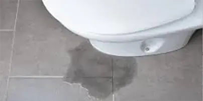 Fountain Valley Reset a Toilet