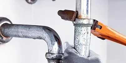 Garden Trouble Off Brookhurst Fountain Valley