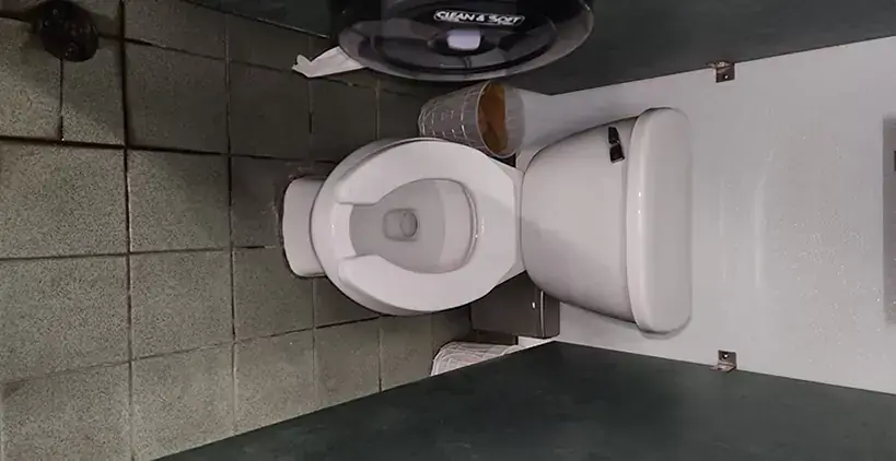 Toilet Repairs Costa Mesa