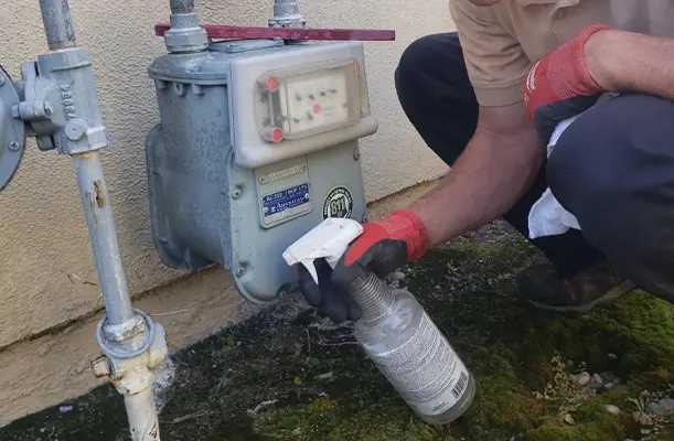 Natural Gas Leak Detection Huntington Beach Natural Gas Leak Detection Huntington Beach